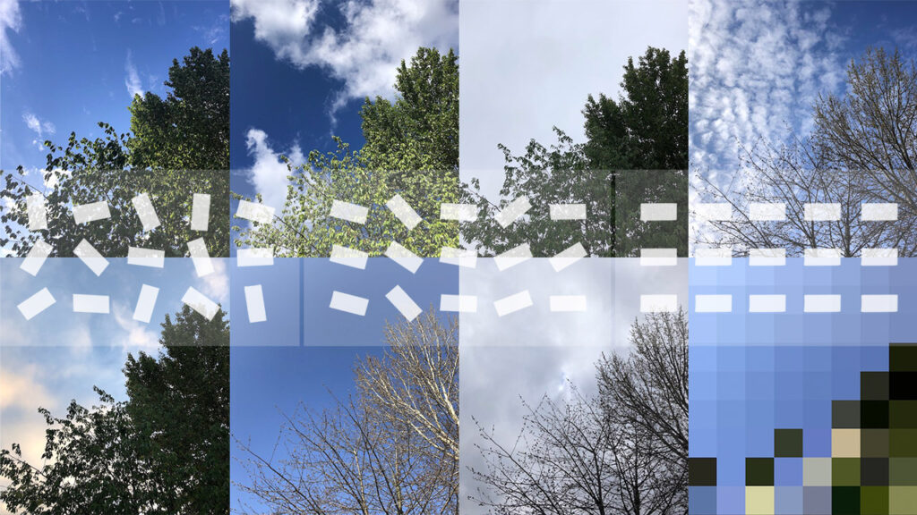 A grid of photos of a tree in different seasons, overlayed by a grid of white rectangles rotating in different angles