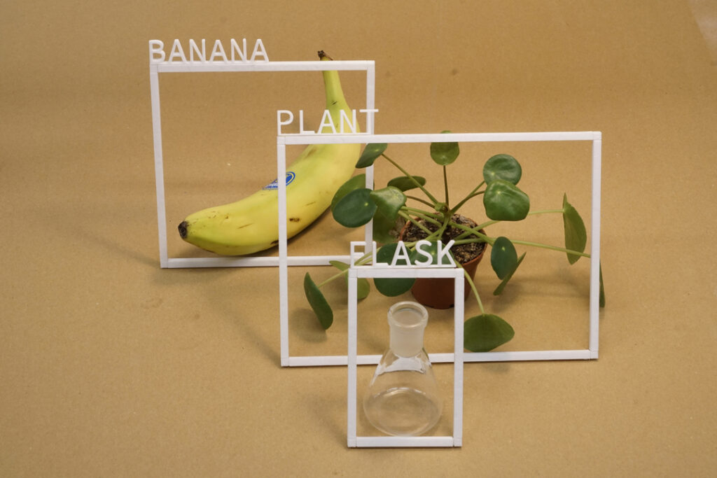 A banana, a plant and a flask on a monochrome surface, each one surrounded by a thin white frame with letters attached that spell the name of the objects