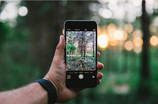 A point-of-view shot of a person holding a phone. The camera is capturing an image of a tree in a forest. A sunset forest is blurred in the background.
