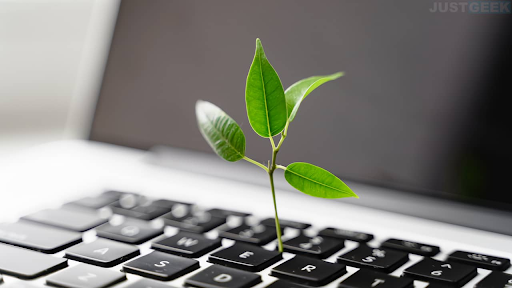 A small green leafy plant sprouting from a laptop keyboard.